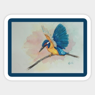 Blue Kingfisher, bird art print, Kingfishers Sticker